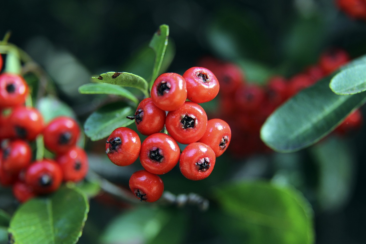 体系仍存在 体系仍存在