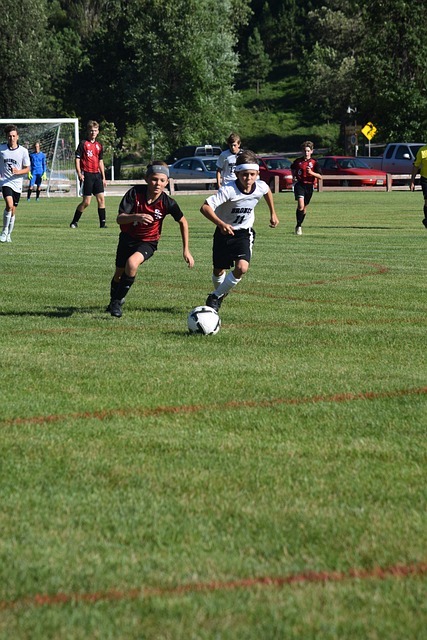 大的优势 大的优势