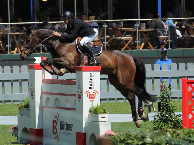 多球迷的重 多球迷的重