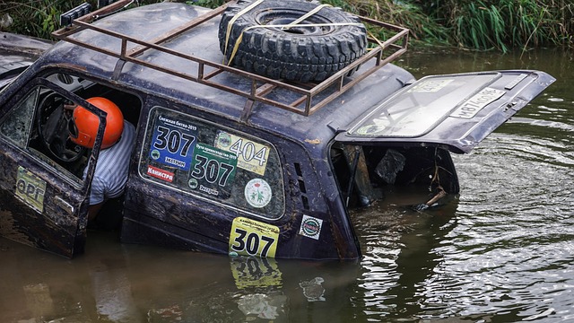 由租借獲得 由租借獲得