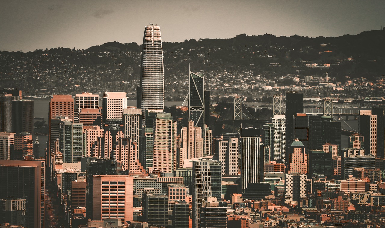 多奖级的可 多奖级的可