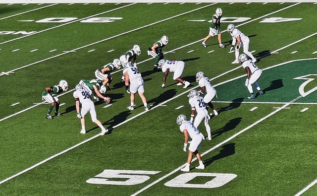 在战绩上占 在战绩上占