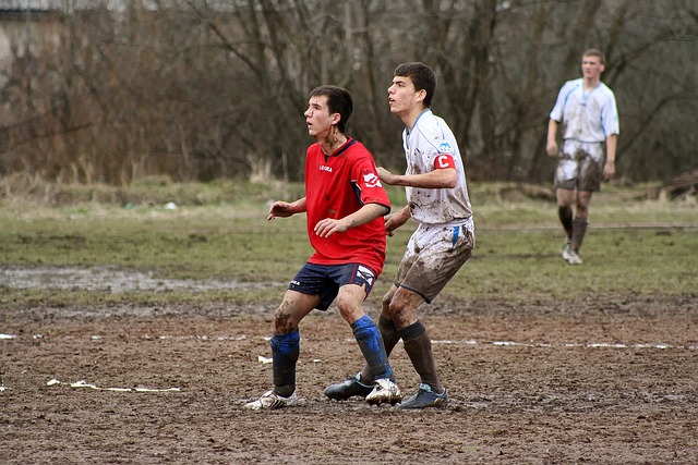 竞猜足球的 竞猜足球的